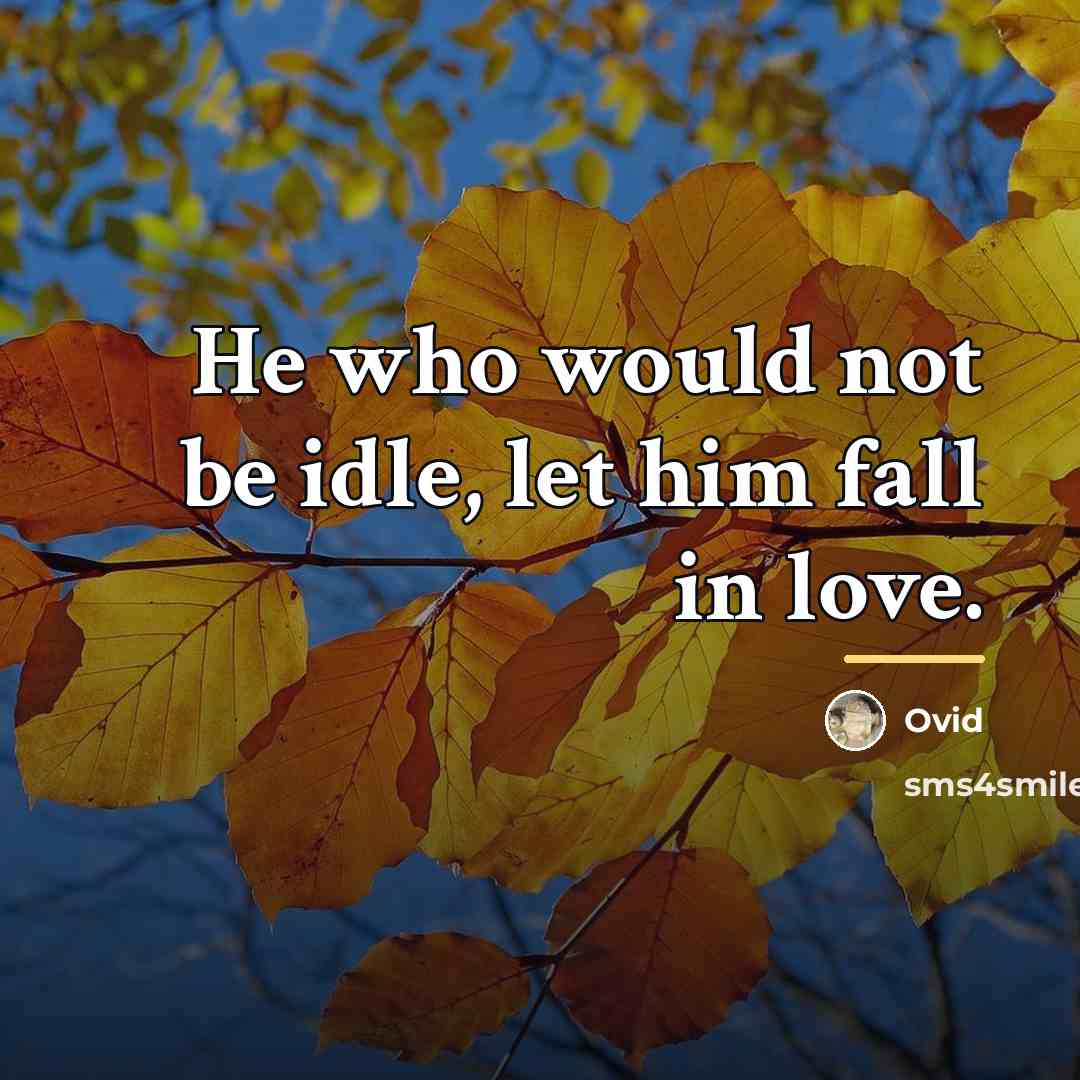 “He who would not be idle, let him fall in…” quote by Ovid