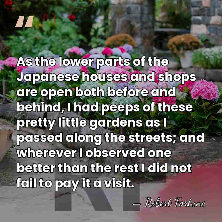 As the lower parts of the Japanese houses and shops are open&hellip; - Robert Fortune