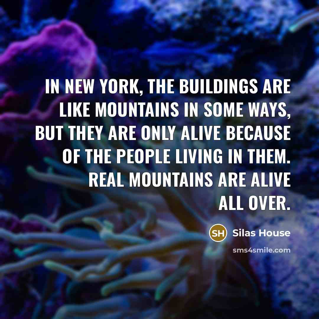 “In New York, the buildings are like mountains in some…” quote by Silas House