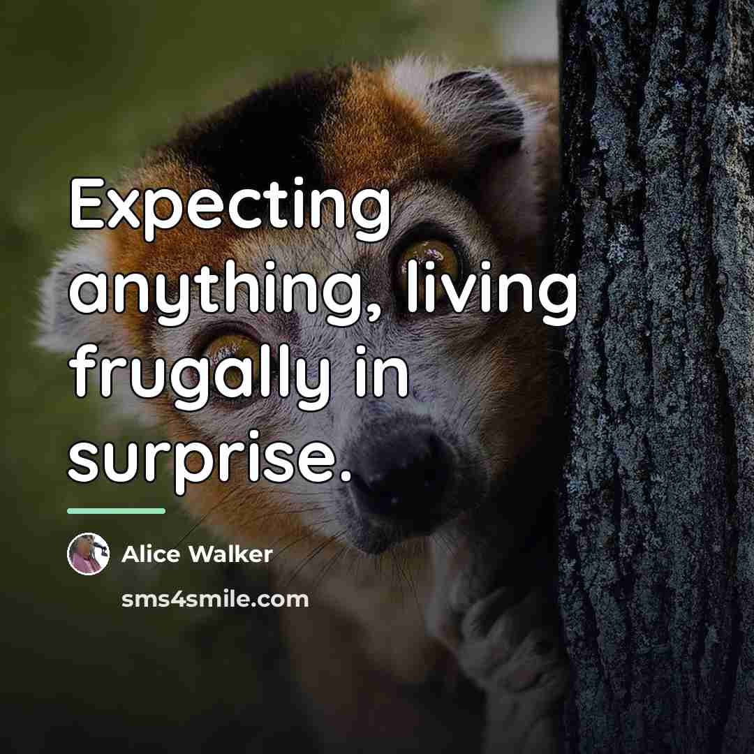 “Expecting anything, living frugally in surprise.…” quote by Alice Walker