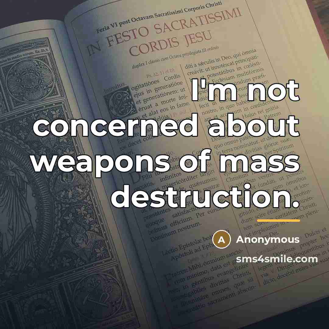“I'm not concerned about weapons of mass destruction.…” quote by Anonymous