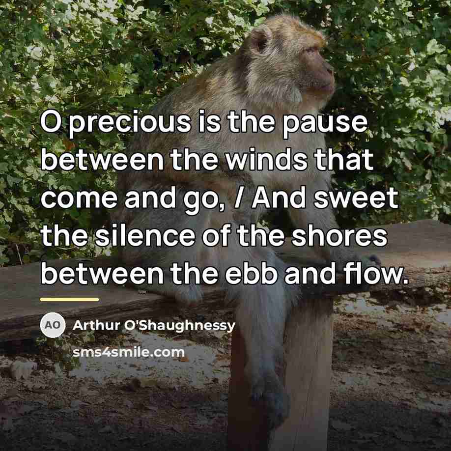 “O precious is the pause between the winds that come…” quote by Arthur O'Shaughnessy