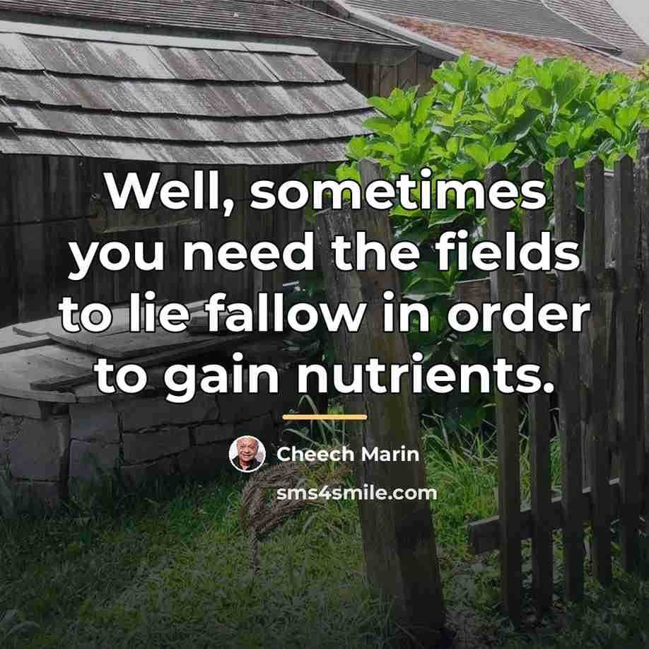 “Well, sometimes you need the fields to lie fallow in…” quote by Cheech Marin