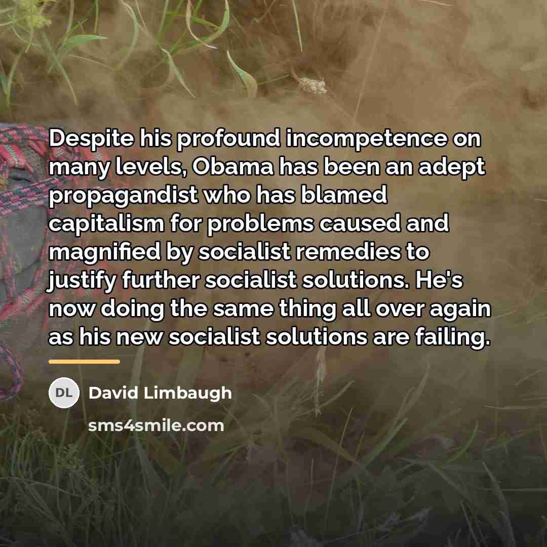 “Despite his profound incompetence on many levels, Obama has been…” quote by David Limbaugh