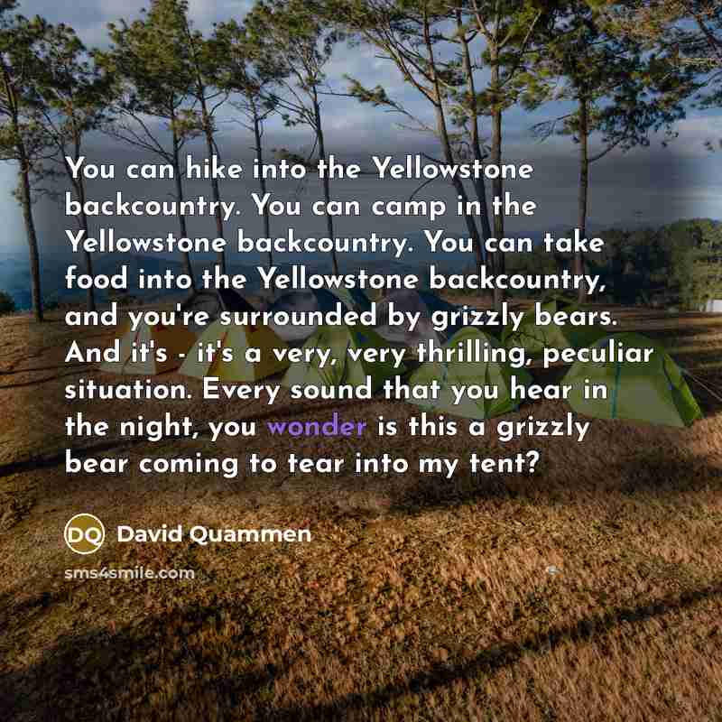“You can hike into the Yellowstone backcountry. You can camp…” quote by David Quammen