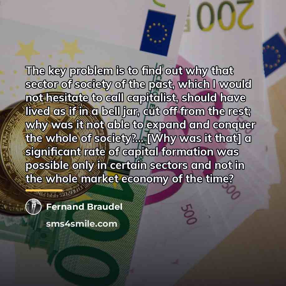 “The key problem is to find out why that sector…” quote by Fernand Braudel