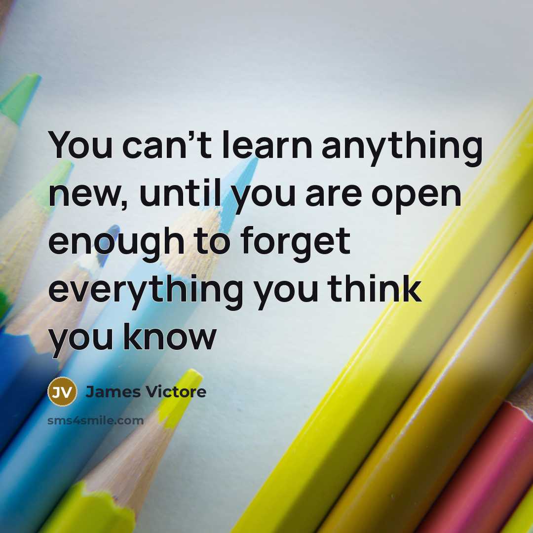 “You can't learn anything new, until you are open enough…” quote by James Victore