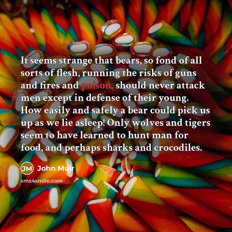 “It seems strange that bears, so fond of all sorts…” quote by John Muir