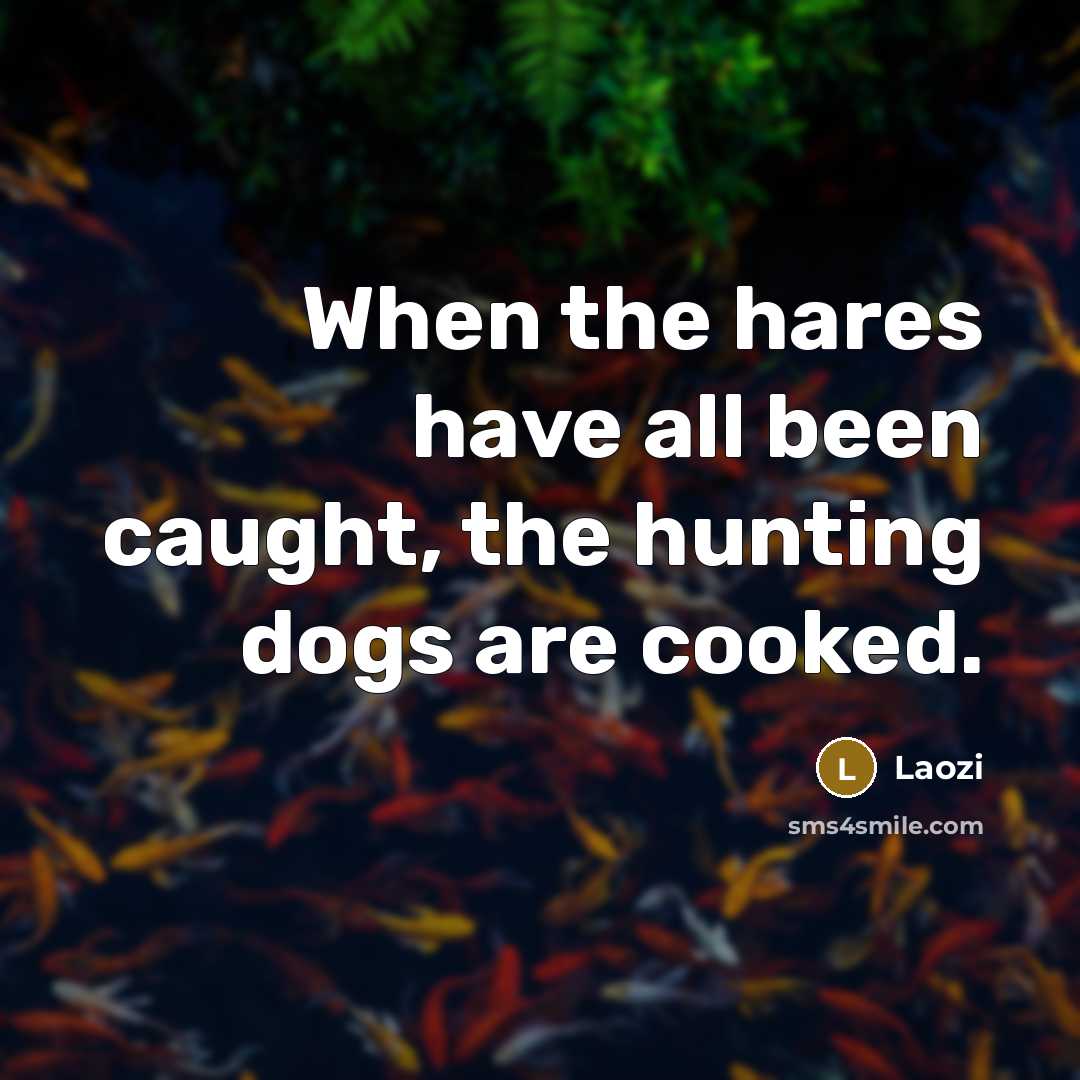 “When the hares have all been caught, the hunting dogs…” quote by Laozi