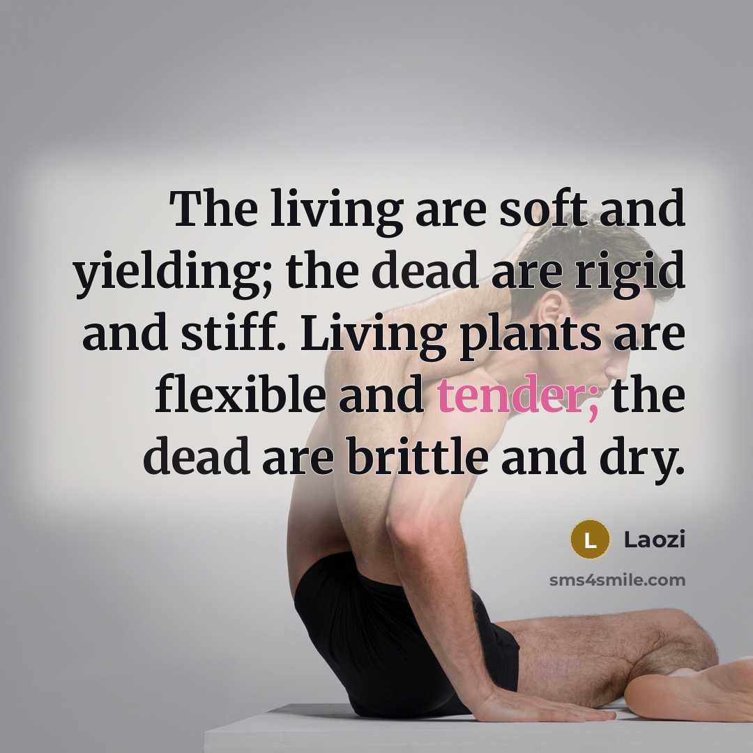 “The living are soft and yielding; the dead are rigid…” quote by Laozi