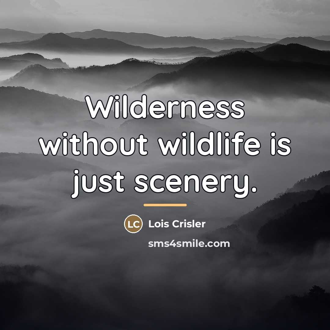 “Wilderness without wildlife is just scenery.…” quote by Lois Crisler