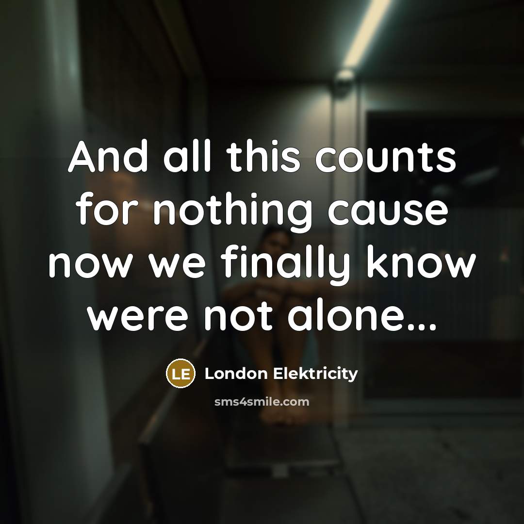 “And all this counts for nothing cause now we finally…” quote by London Elektricity