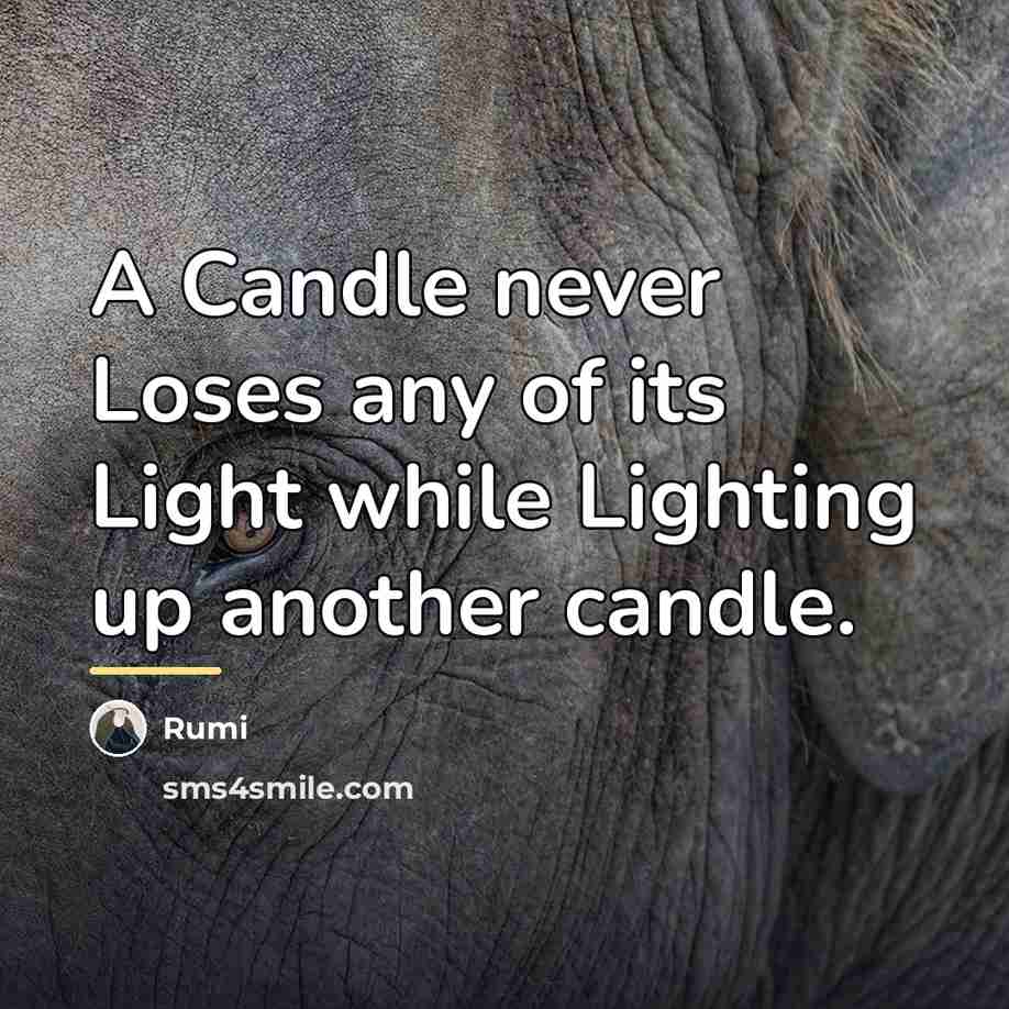 “A Candle never Loses any of its Light while Lighting…” quote by Rumi