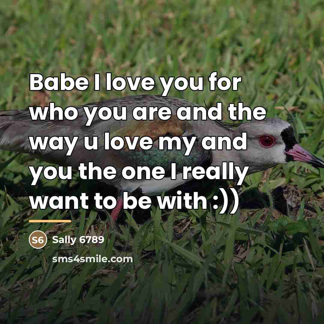 “Babe I love you for who you are and the…” quote by Sally 6789