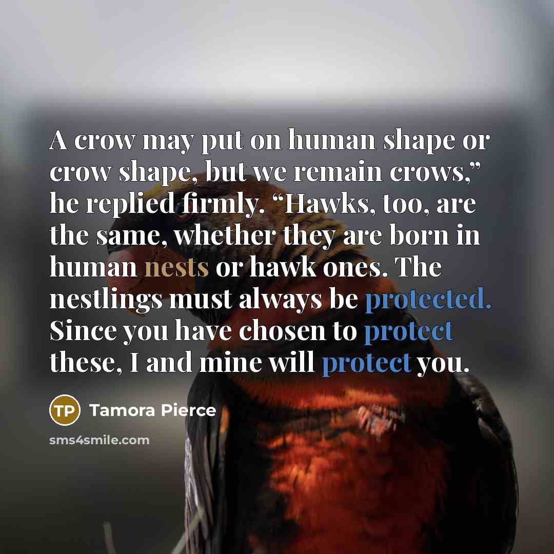“A crow may put on human shape or crow shape, but we remain crows,” he replied firmly. “Hawks, too, are the same, whether they are born in human nests or hawk ones. The nestlings must always be protected. Since you have chosen to protect these, I and mine will protect you.” quote by Tamora Pierce