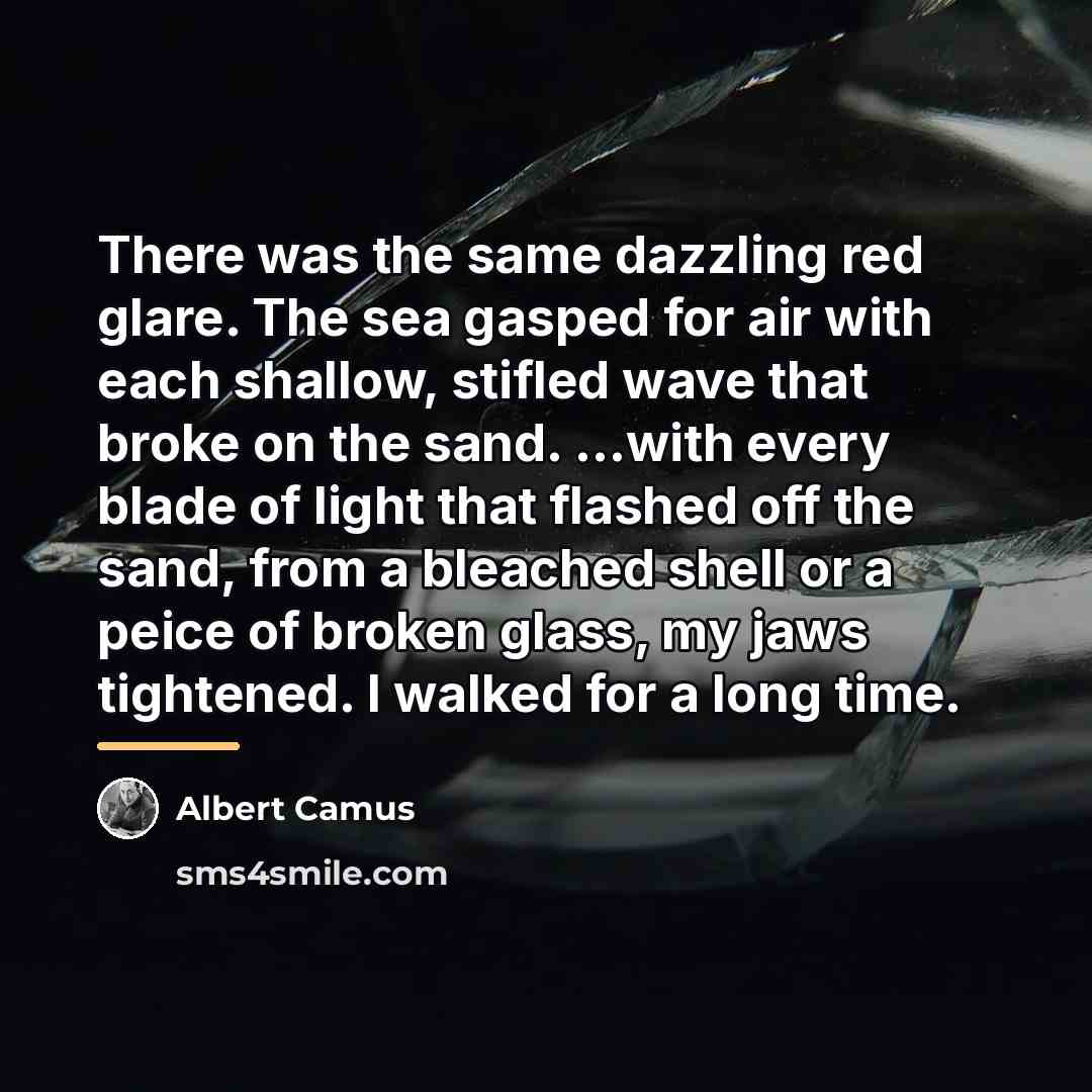 “There was the same dazzling red glare. The sea gasped…” quote by Albert Camus