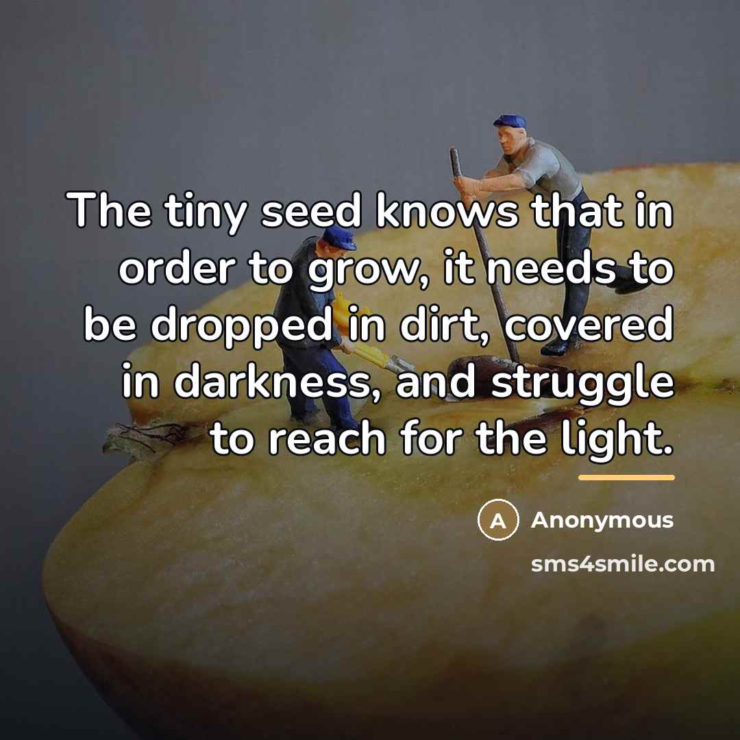“The tiny seed knows that in order to grow, it…” quote by Anonymous