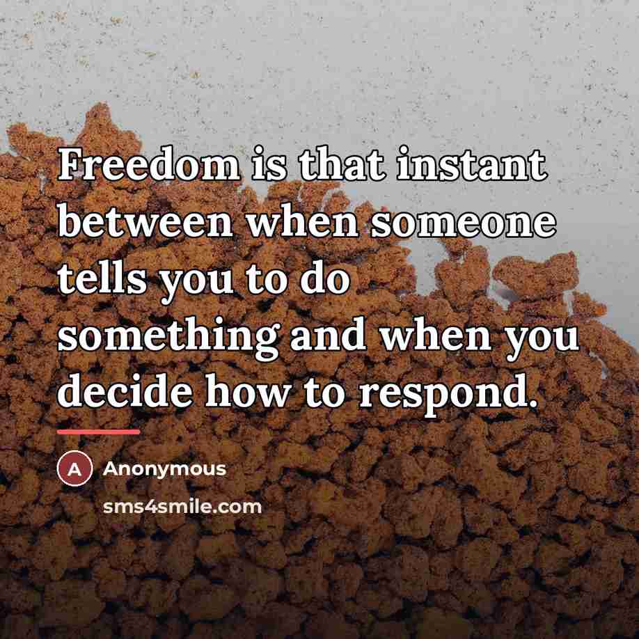 “Freedom is that instant between when someone tells you to…” quote by Jeffrey Borenstein