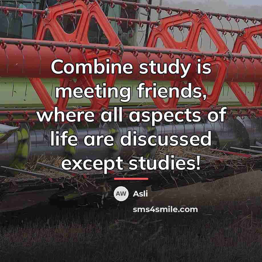 “Combine study is meeting friends, where all aspects of life…” quote by Asli
