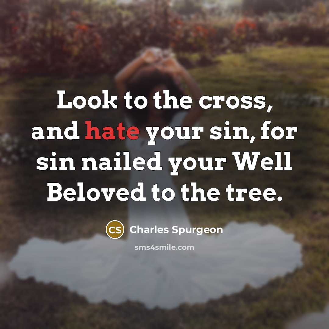 “Look to the cross, and hate your sin, for sin…” quote by Charles Spurgeon