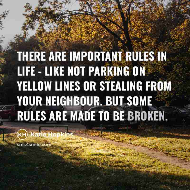 “There are important rules in life - like not parking…” quote by Katie Hopkins