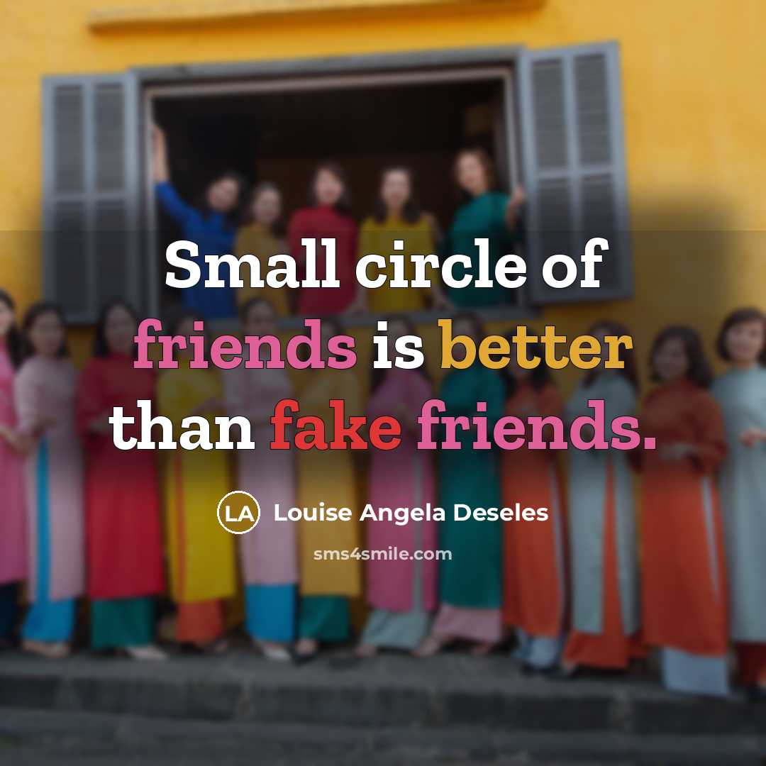 “Small circle of friends is better than fake friends.…” quote by Louise Angela Deseles