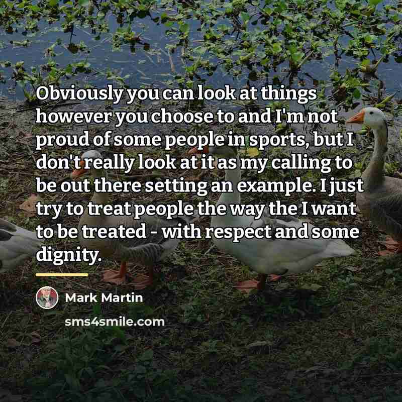 “Obviously you can look at things however you choose to…” quote by Mark Martin