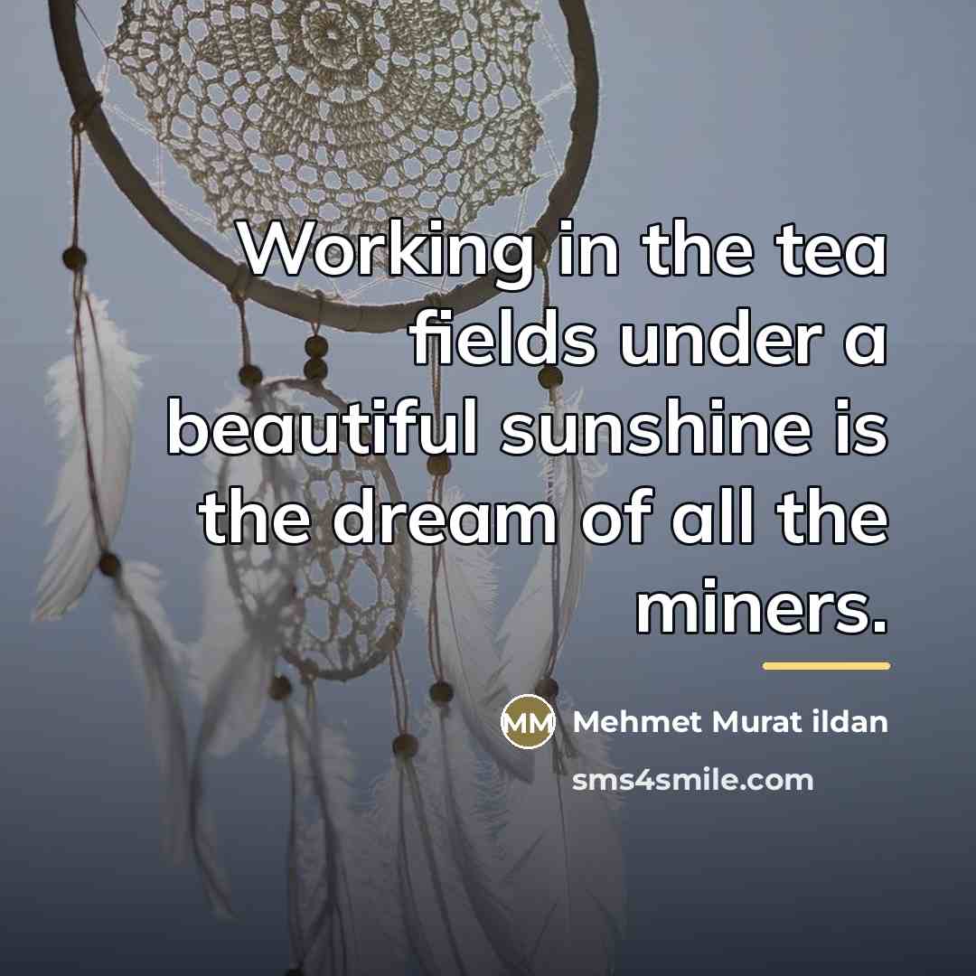 “Working in the tea fields under a beautiful sunshine is…” quote by Mehmet Murat Ildan