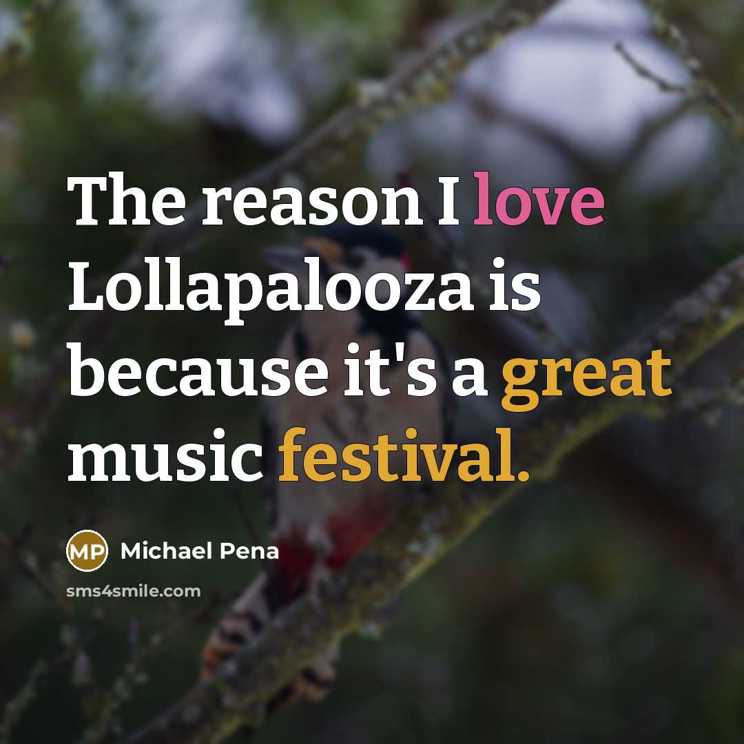 “The reason I love Lollapalooza is because it's a great music festival.” quote by Michael Pena