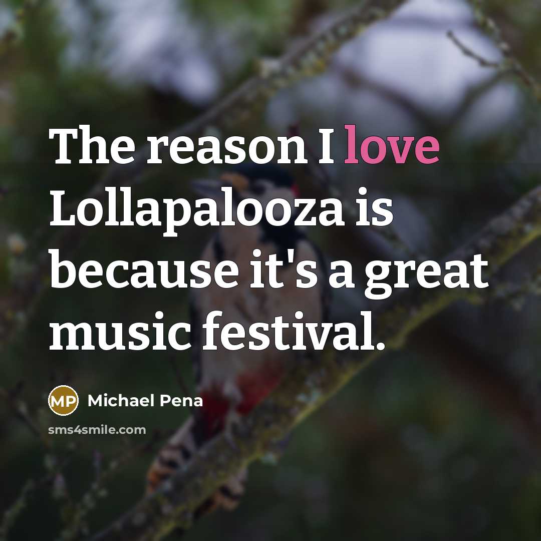 “The reason I love Lollapalooza is because it's a great…” quote by Michael Pena