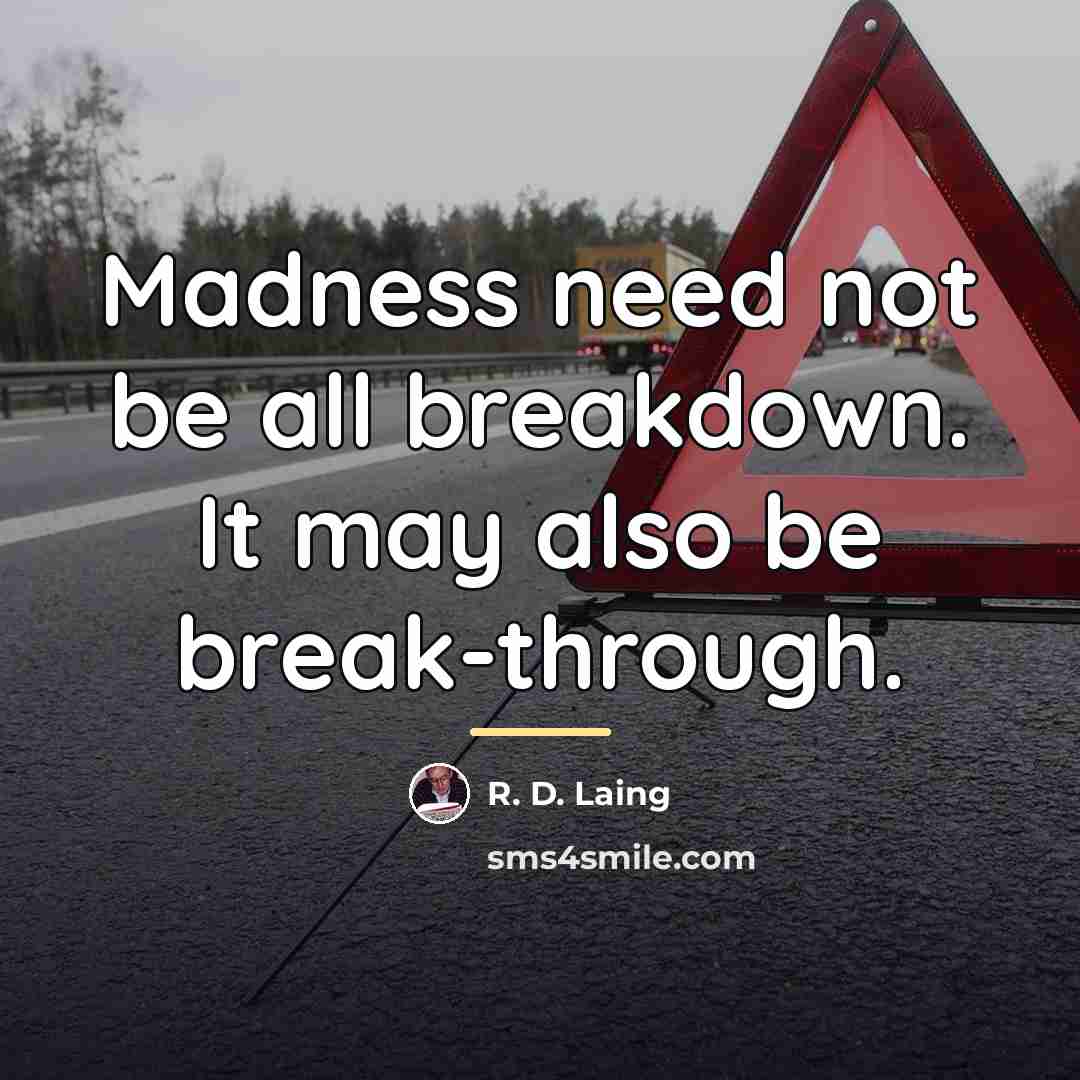 “Madness need not be all breakdown. It may also be…” quote by R. D. Laing