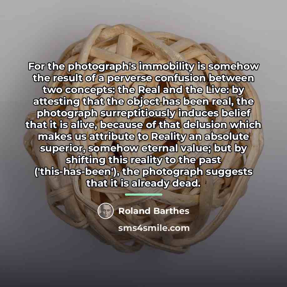 “For the photograph's immobility is somehow the result of a…” quote by Roland Barthes