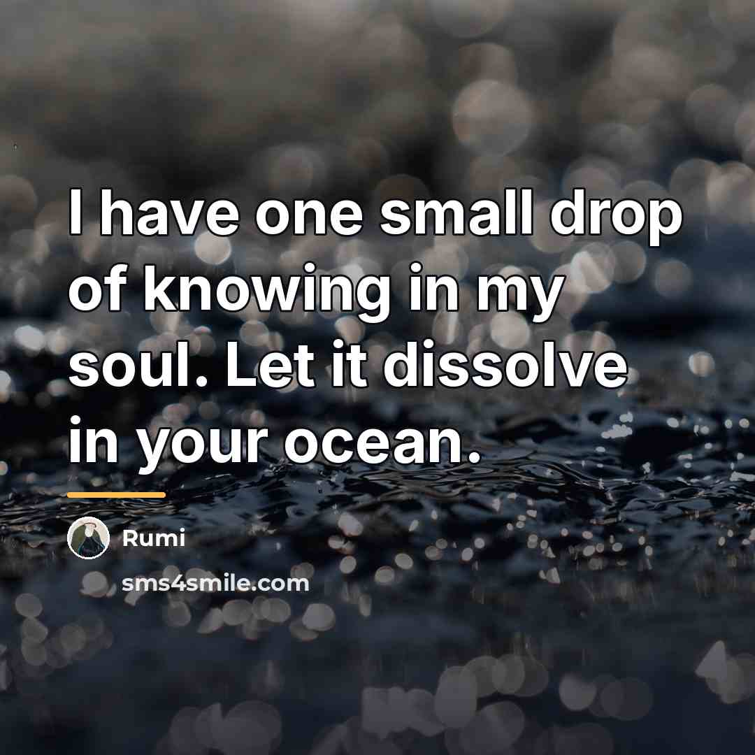 “I have one small drop of knowing in my soul.…” quote by Rumi