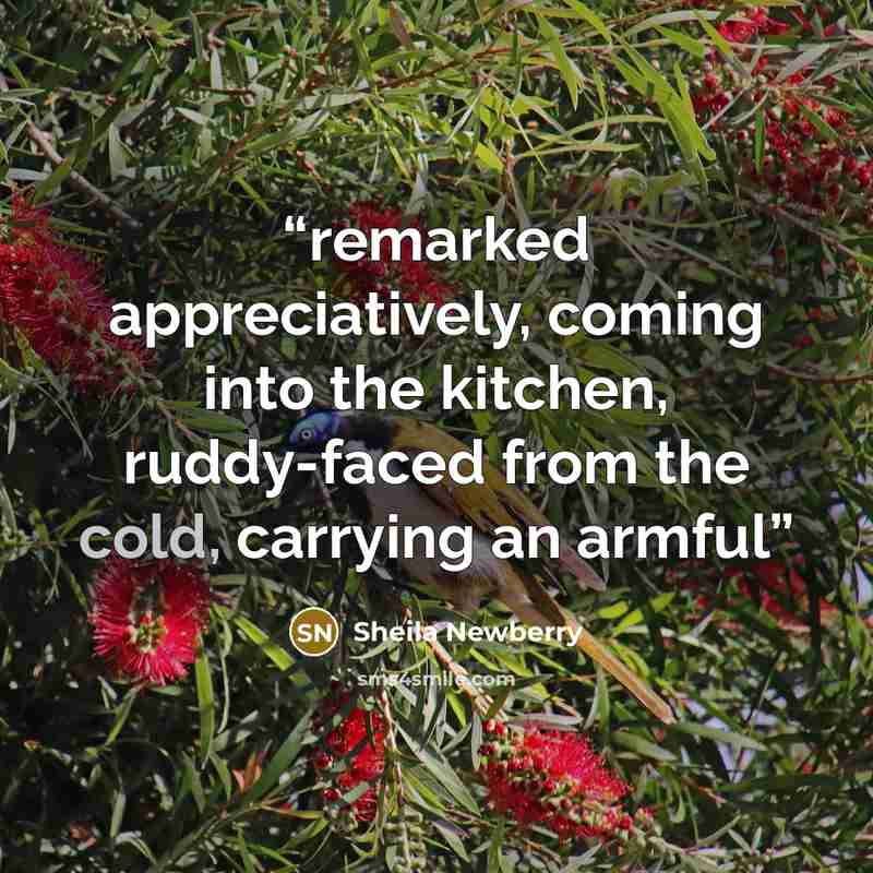 “remarked appreciatively, coming into the kitchen, ruddy-faced from the cold, carrying an armful” quote by Sheila Newberry