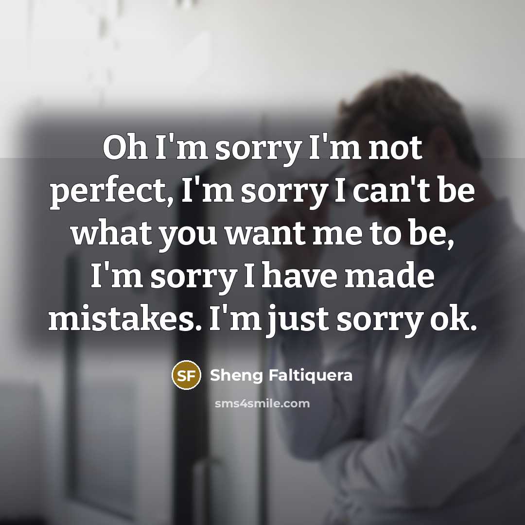 “Oh I'm sorry I'm not perfect, I'm sorry I can't…” quote by Sheng Faltiquera