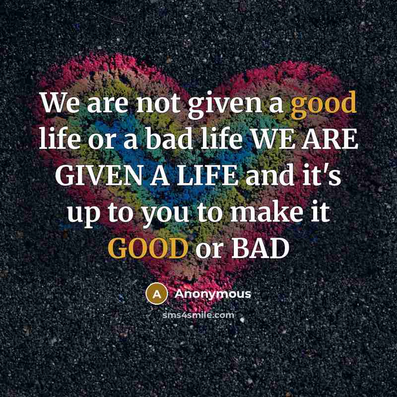 “We are not given a good life or a bad…” quote by Anonymous