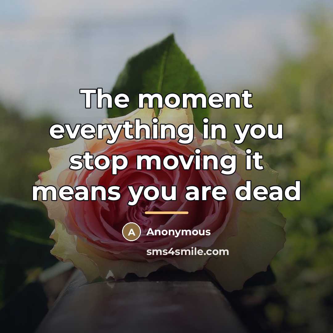 “The moment everything in you stop moving it means you…” quote by Anonymous
