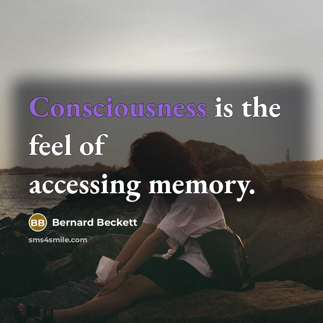 “Consciousness is the feel of accessing memory.…” quote by Bernard Beckett