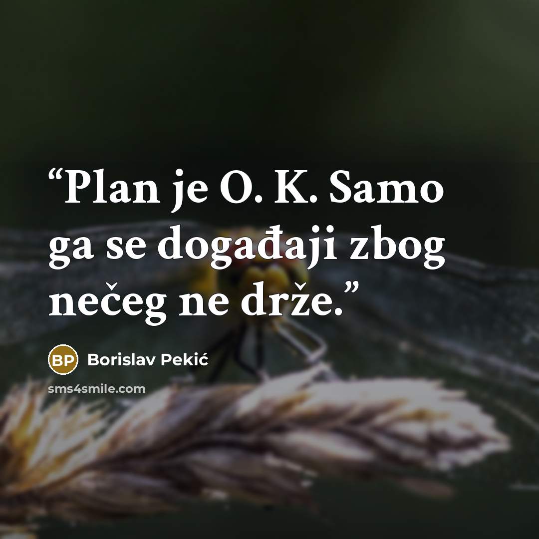 “Plan je O. K. Samo ga se događaji zbog nečeg ne drže.” quote by Borislav Pekić