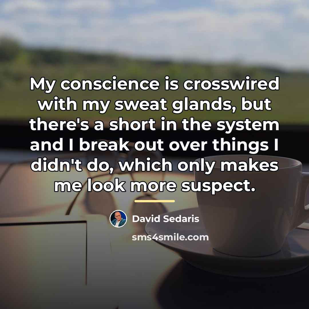 “My conscience is crosswired with my sweat glands, but there's…” quote by David Sedaris