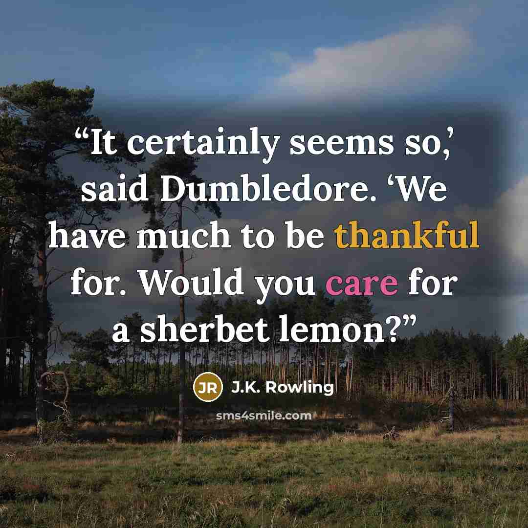“It certainly seems so,’ said Dumbledore. ‘We have much to be thankful for. Would you care for a sherbet lemon?” quote by J.K. Rowling