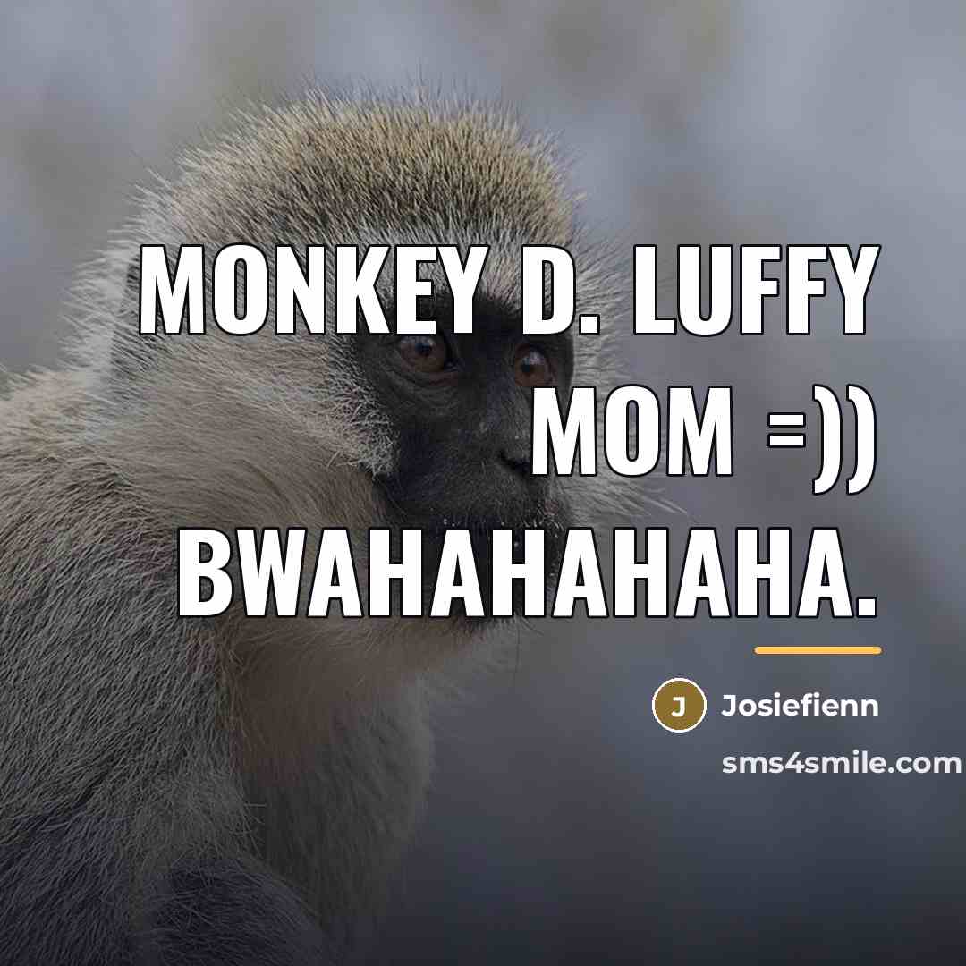 “Monkey D. Luffy mom =)) bwahahahaha.…” quote by Josiefienn