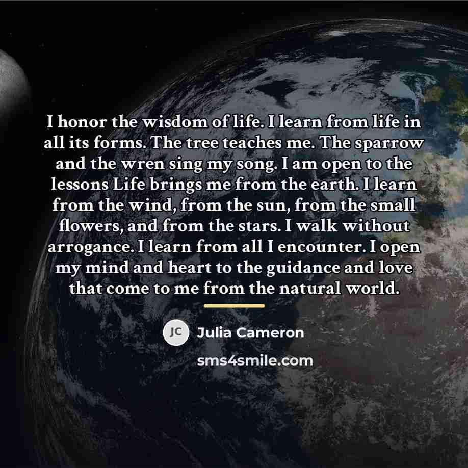 “I honor the wisdom of life. I learn from life…” quote by Julia Cameron
