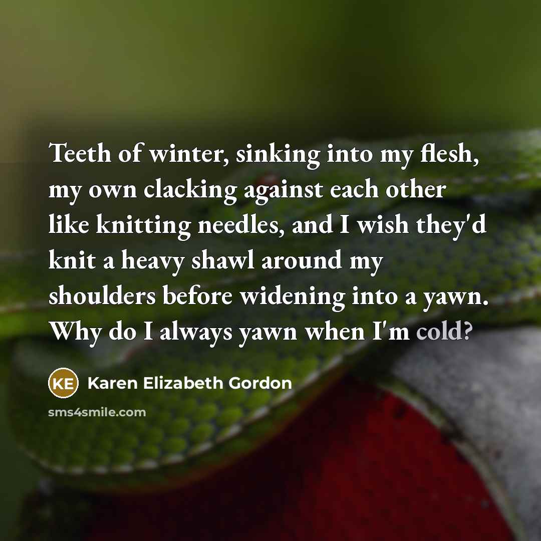 “Teeth of winter, sinking into my flesh, my own clacking…” quote by Karen Elizabeth Gordon