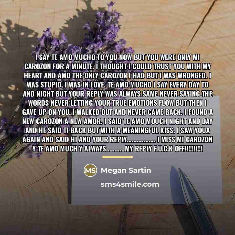 “I say te amo mucho to you now but you…” quote by Megan Sartin