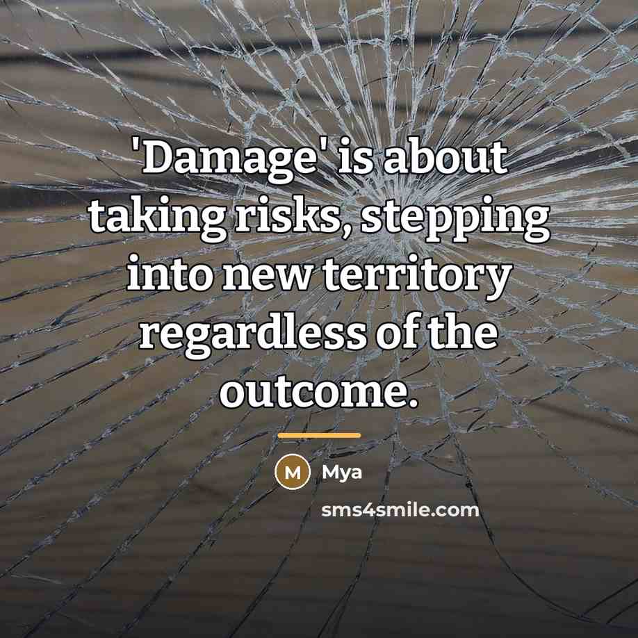 “'Damage' is about taking risks, stepping into new territory regardless…” quote by Mya