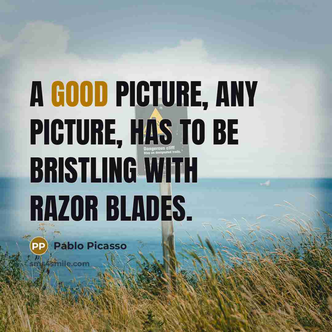 “A good picture, any picture, has to be bristling with…” quote by Pablo Picasso