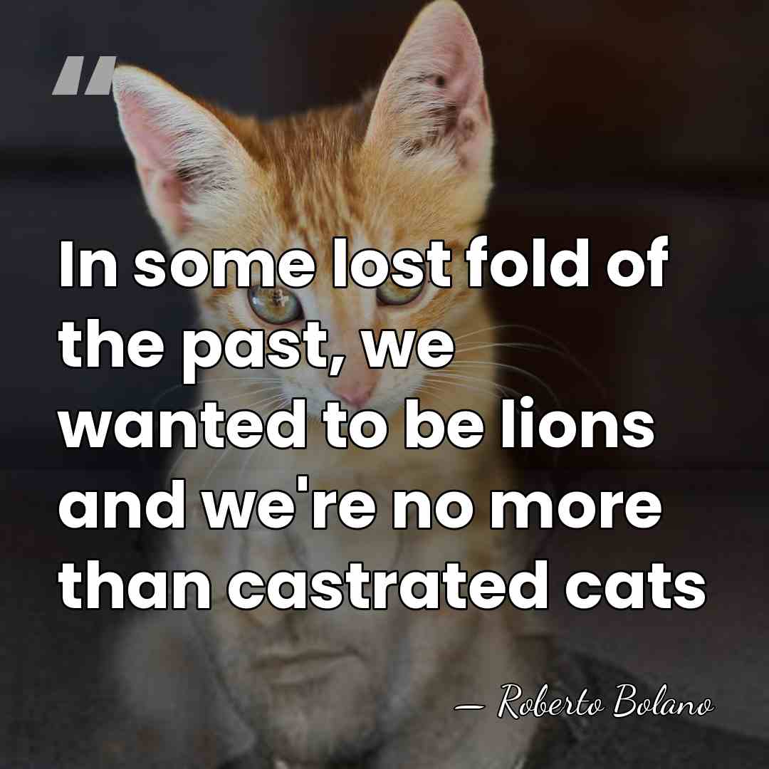 In some lost fold of the past, we wanted to be lions&hellip; - Roberto Bolano