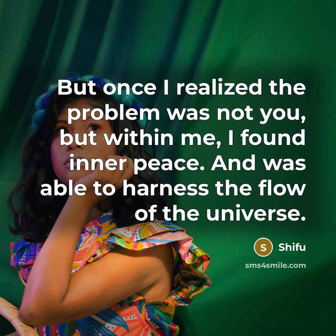 “But once I realized the problem was not you, but…” quote by Shifu