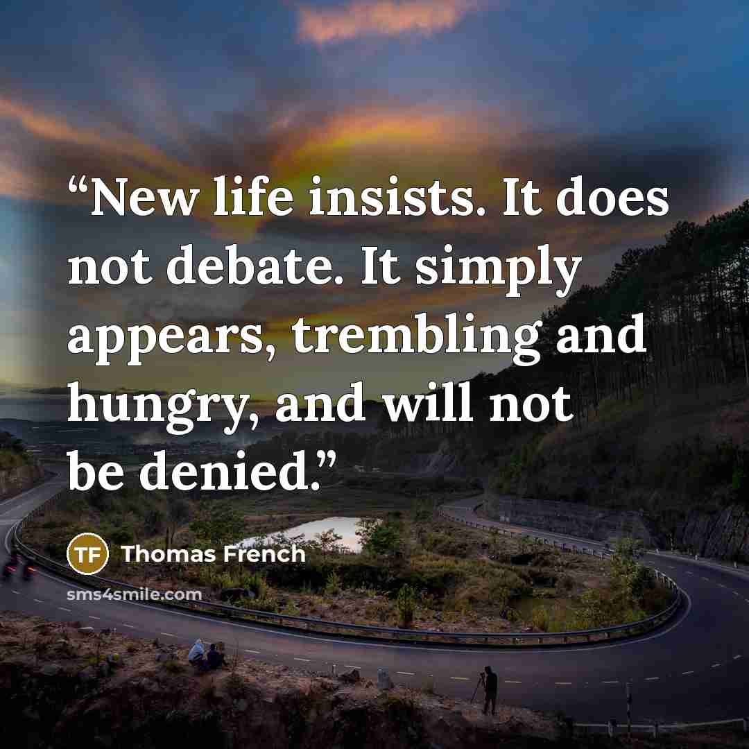 “New life insists. It does not debate. It simply appears, trembling and hungry, and will not be denied.” quote by Thomas French
